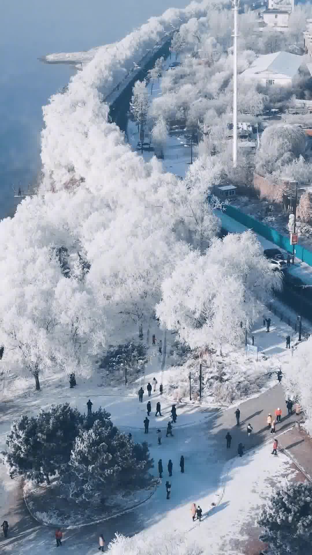 东北风情之旅,吉林,遇见璀璨东北韵🌟