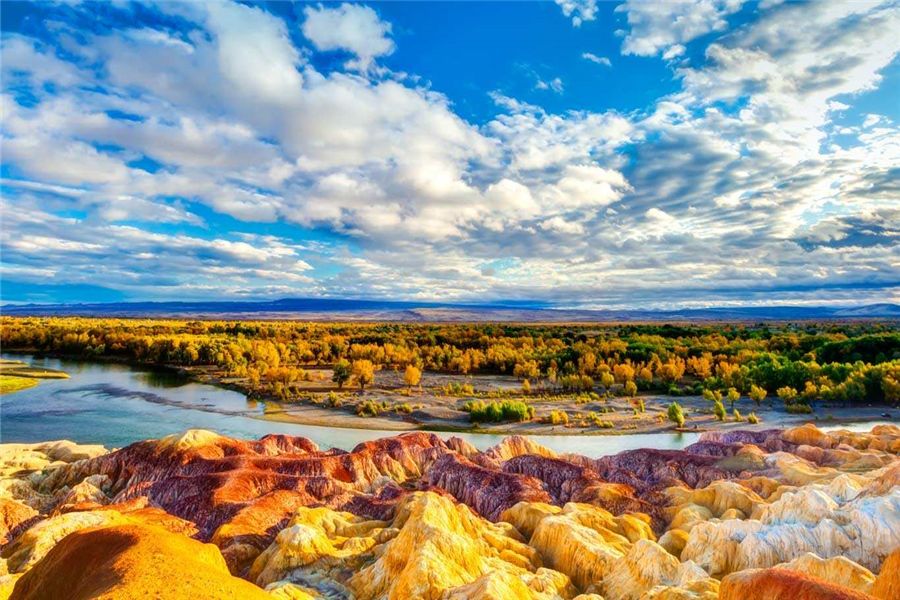 新疆,嘉宾云集,观众热情如火