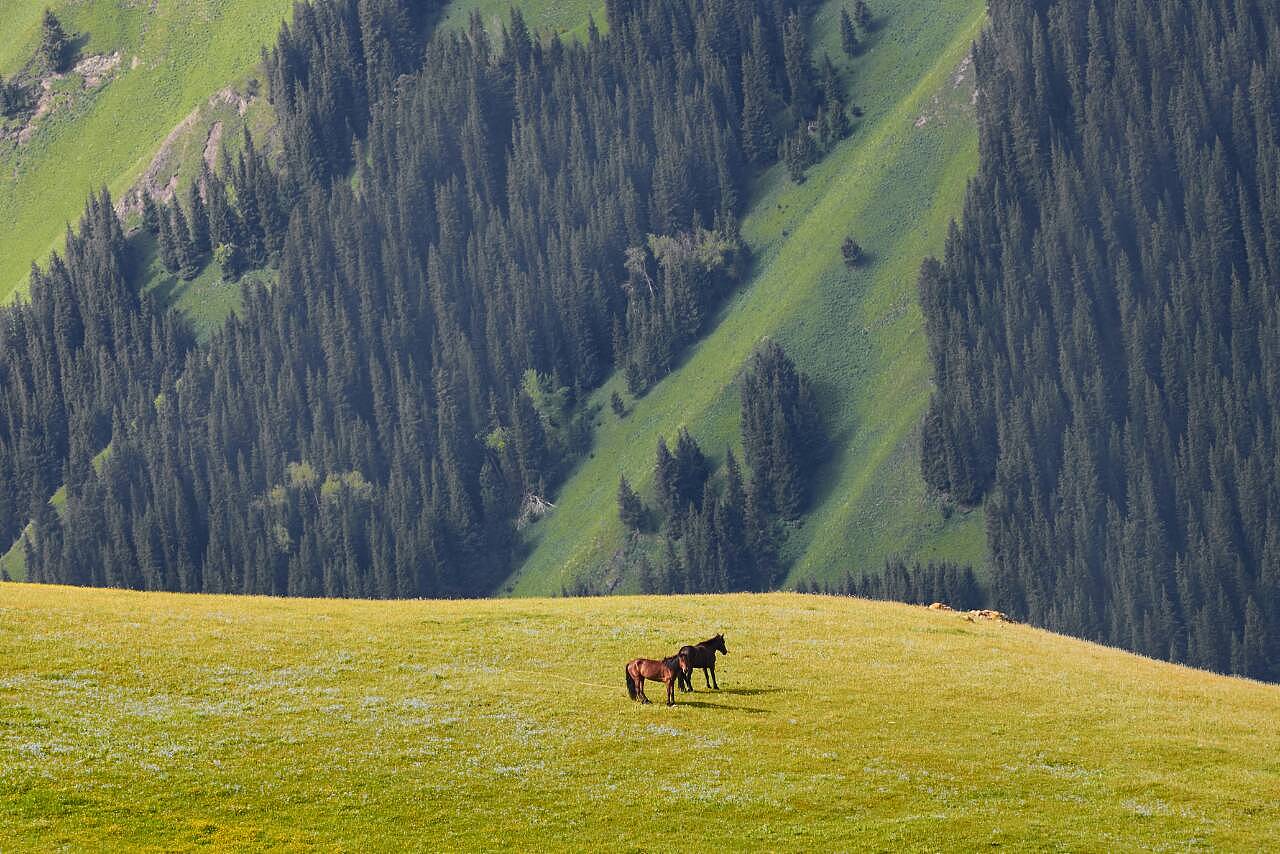 新疆,嘉宾云集,观众热情如火