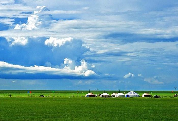 呼伦贝尔,草原之珠的魅力探秘与发现之旅