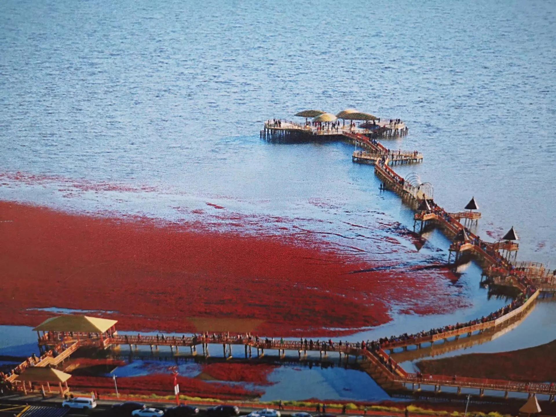 盘锦深度体验之旅,感悟与行记